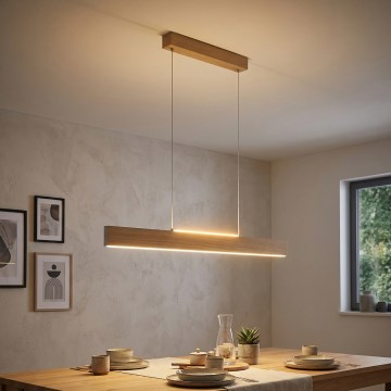 Eglo 39344 - LED lestenec na jekleni vrvi CLIMENE LED/17W/230V + LED/4,2W hrast