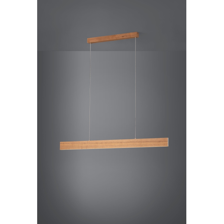Eglo - LED Zatemnitveni lestenec na vrvici LED/21W/230V + LED/8,4W