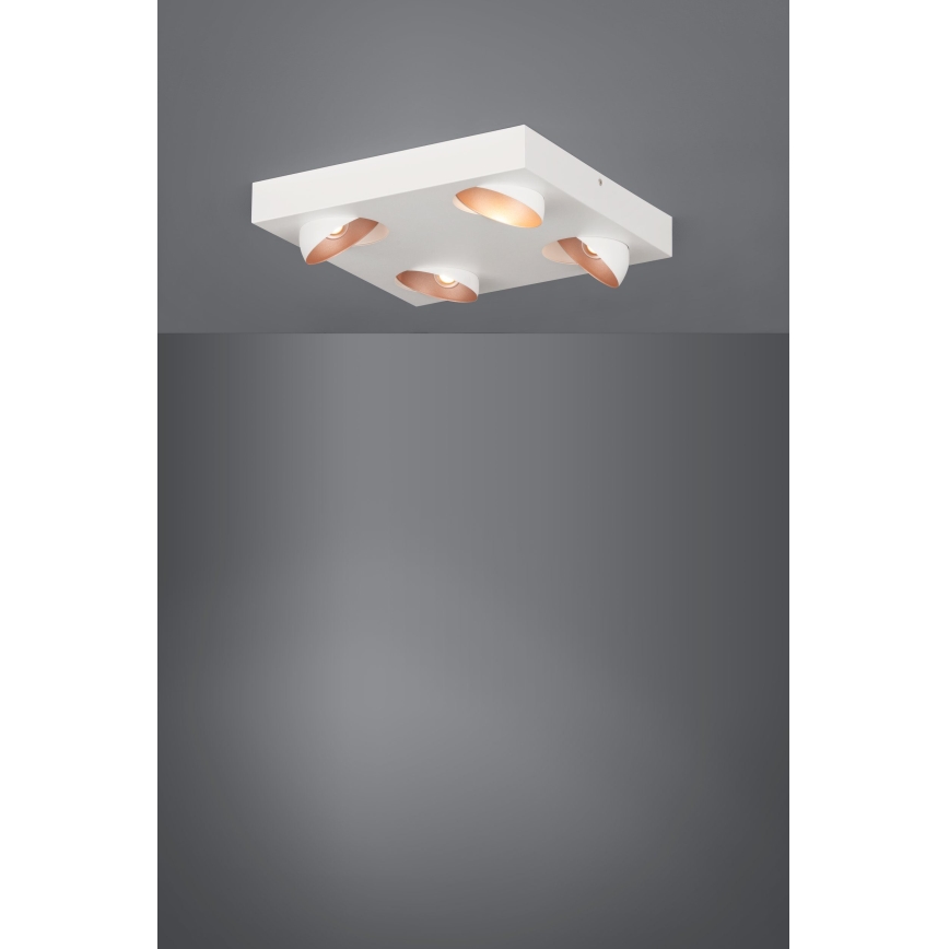 Eglo - LED Zatemnitvena stropna svetilka 4xLED/3,3W/230V