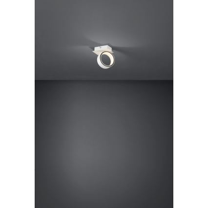 Eglo - LED Reflektor LED/4,6W/230V 3000K