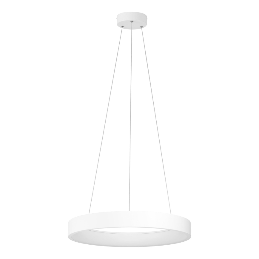 Eglo - LED Zatemnitveni lestenec na vrvici LED/34W/230V