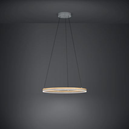 Eglo - LED Zatemnitveni lestenec na vrvici LED/36W/230V 3000K siva/hrast