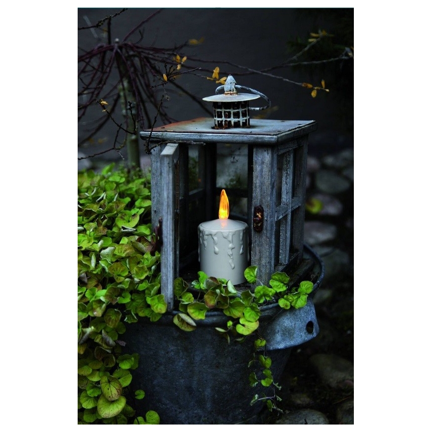 Eglo - LED božična dekoracija LED/0,06W/2xAA