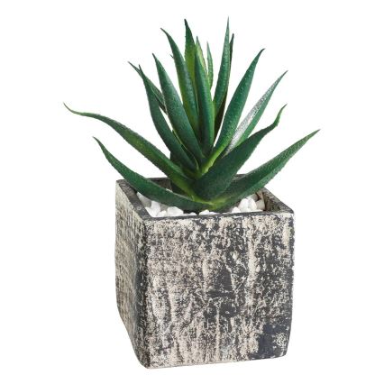 Eglo - Umetna rastlina v cvetličnem loncu 13x9,5 cm sukulent