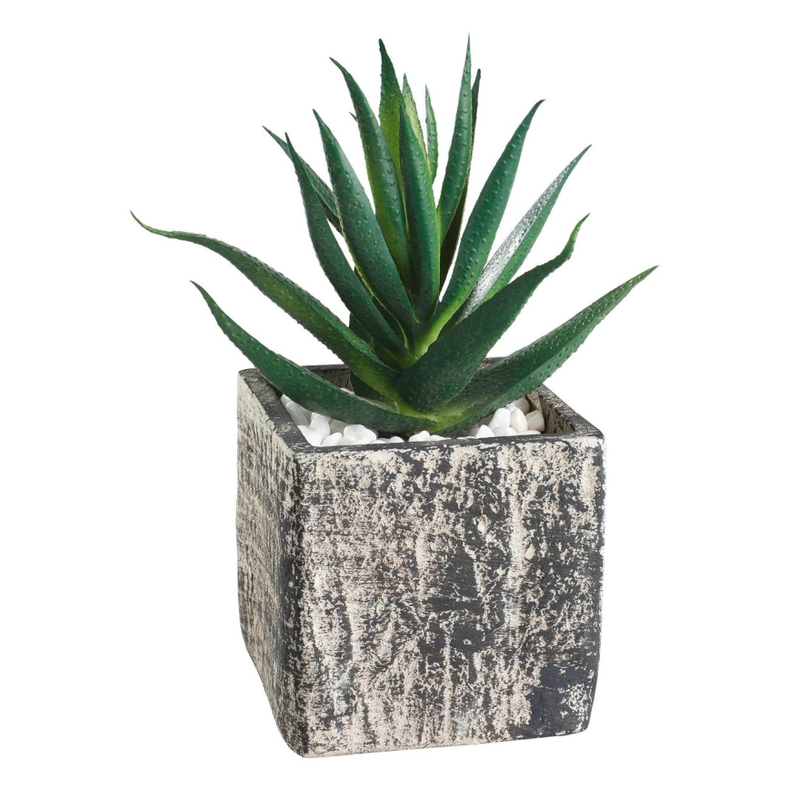 Eglo - Umetna rastlina v cvetličnem loncu 13x9,5 cm sukulent