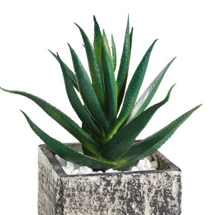 Eglo - Umetna rastlina v cvetličnem loncu 13x9,5 cm sukulent