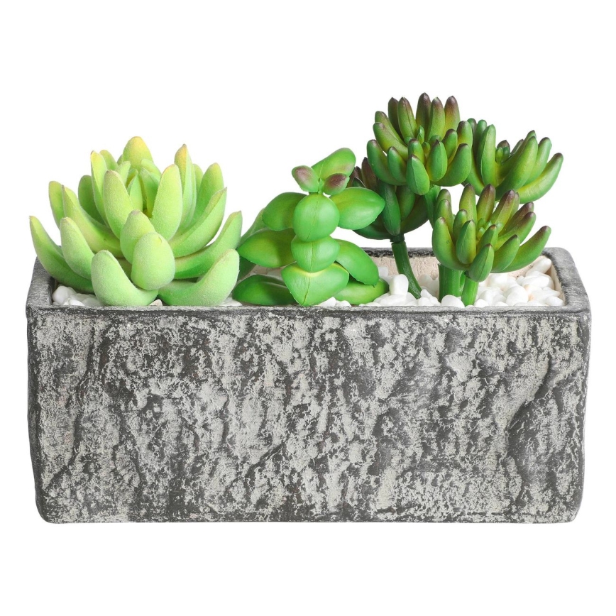 Eglo - Umetna rastlina v cvetličnem loncu 14,5x17,8 cm sukulent