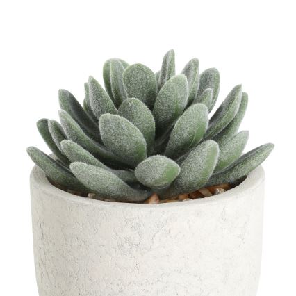 Eglo - Umetna rastlina v cvetličnem loncu 11x8 cm sukulent