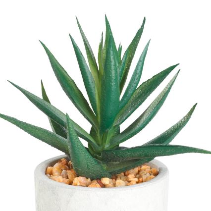 Eglo - Umetna rastlina v cvetličnem loncu 15,5x10 cm sukulent