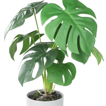 Eglo - Umetna rastlina v cvetličnem loncu 42x30 cm monstera