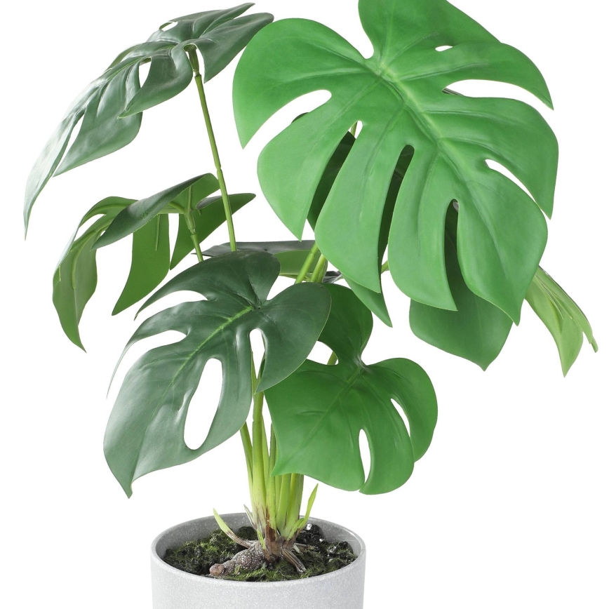Eglo - Umetna rastlina v cvetličnem loncu 42x30 cm monstera