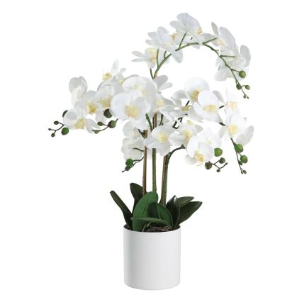Eglo - Umetna rastlina v cvetličnem loncu 65x50 cm orchid