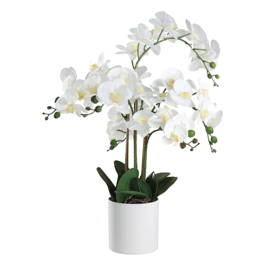 Eglo - Umetna rastlina v cvetličnem loncu 65x50 cm orchid