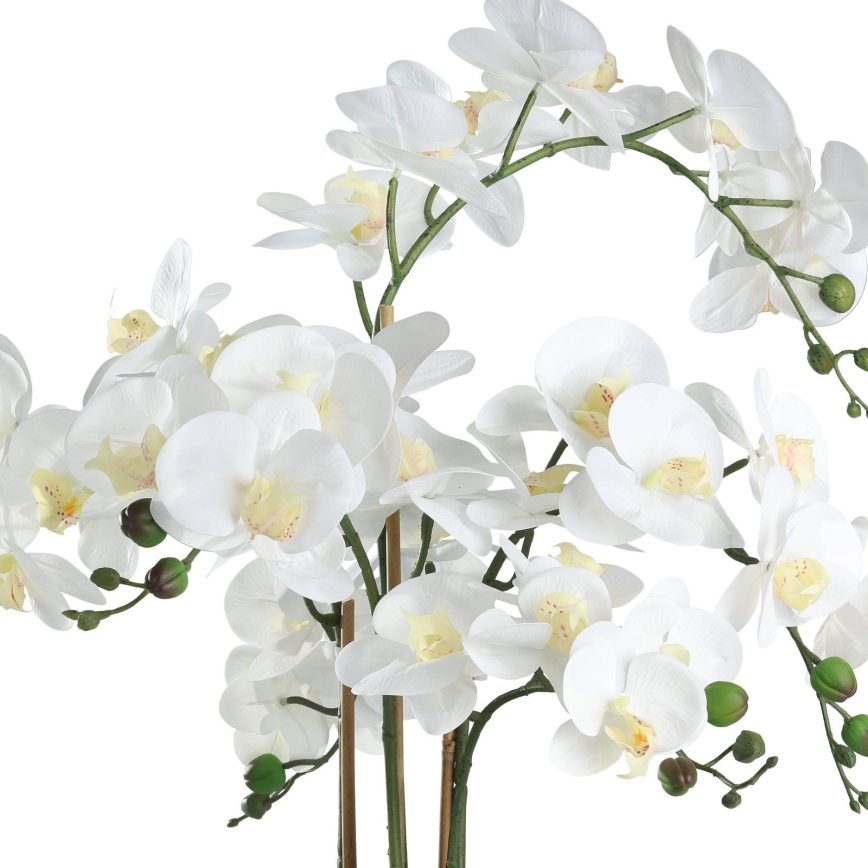 Eglo - Umetna rastlina v cvetličnem loncu 65x50 cm orchid