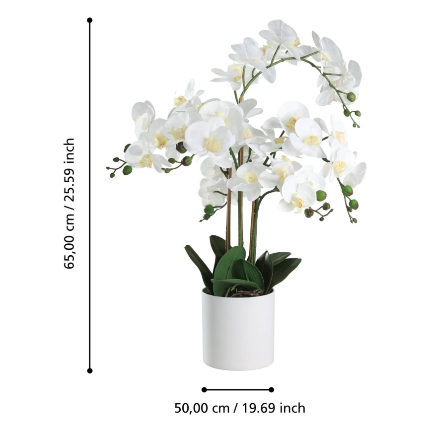 Eglo - Umetna rastlina v cvetličnem loncu 65x50 cm orchid