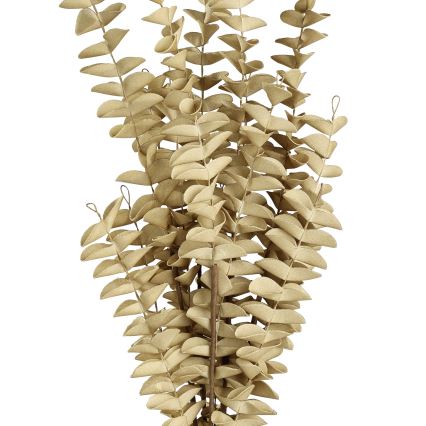 Eglo - Umetna roža 50 cm bež