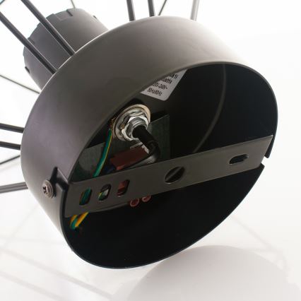 Eglo - Stropna svetilka 1xE27/60W/230V