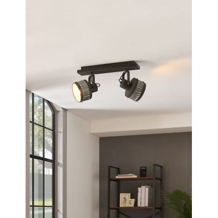 Eglo 43445 - Točkovna svetilka TURROCK 2xE27/28W/230V