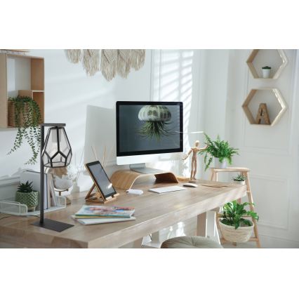 Eglo - Namizna svetilka 1xE27/40W/230V