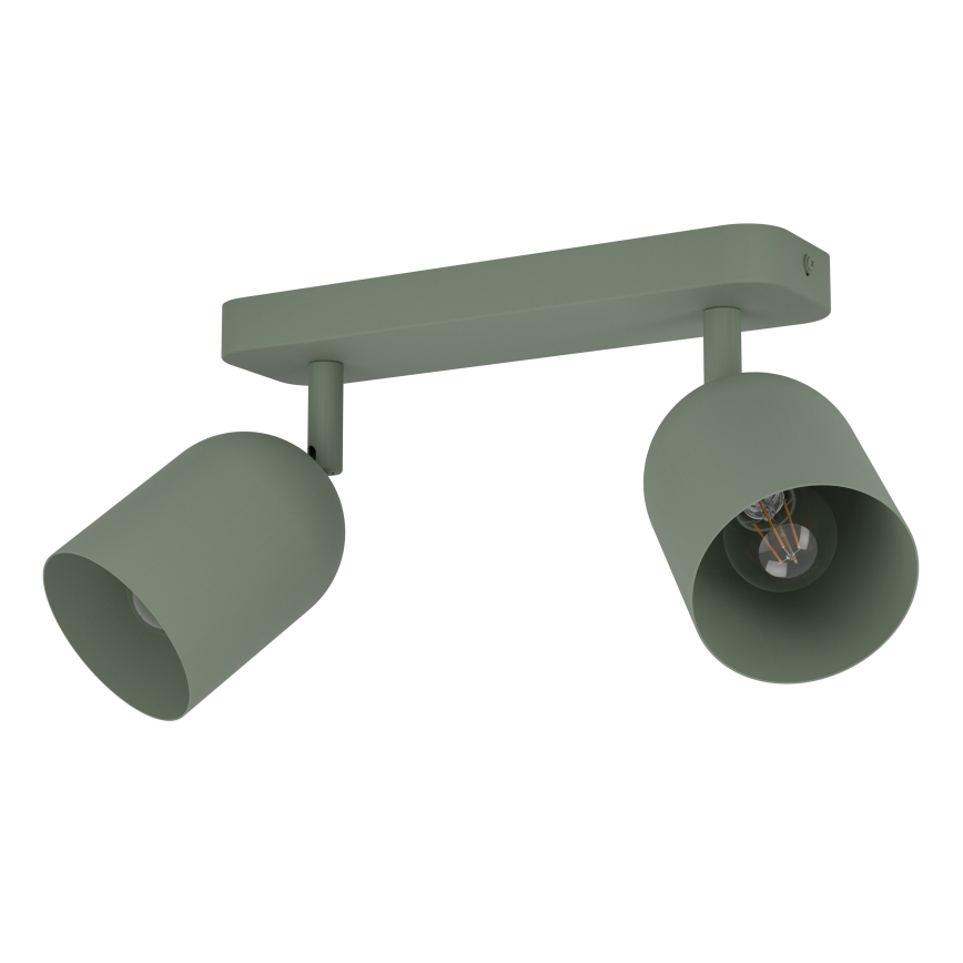 Eglo - Usmerjeno stropno svetilo 2xE14/40W/230V zeleno