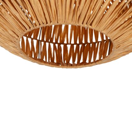 Eglo - Stropna svetilka 1xE27/40W/230V rjava