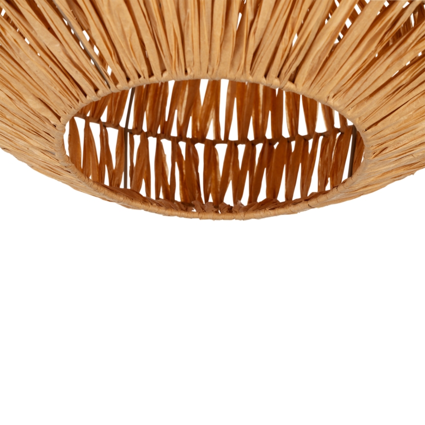 Eglo - Stropna svetilka 1xE27/40W/230V rjava