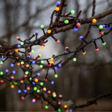 Eglo 472-53 - LED Zunanja božična veriga BERRY MINI 700xLED/8 funkcij 14m multicolor IP44