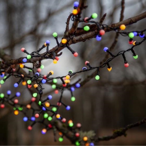 Eglo 472-53 - LED Zunanja božična veriga BERRY MINI 700xLED/8 funkcij 14m multicolor IP44