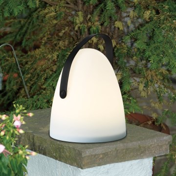 Eglo 48841 - LED Zunanja namizna svetilka COLLIRADOS LED/3xAA IP44