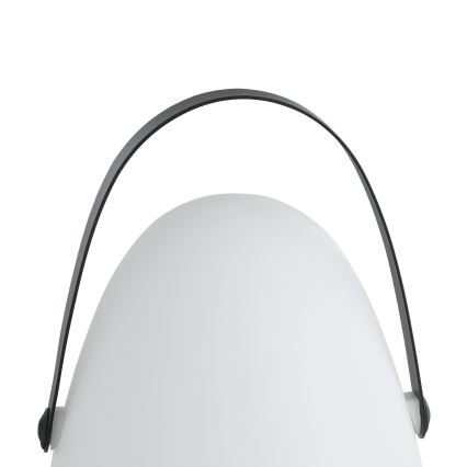 Eglo 48841 - LED Zunanja namizna svetilka COLLIRADOS LED/3xAA IP44