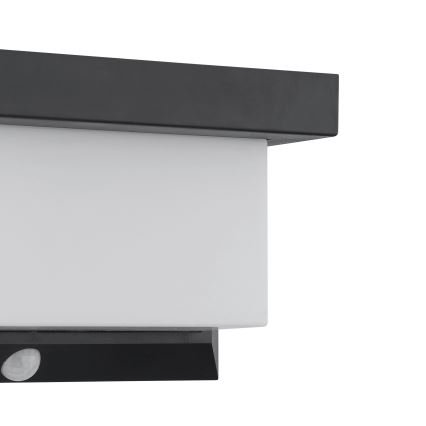 Eglo - LED Solarna stenska svetilka s senzorjem LED/3,84W/3,7V 2000 mAh IP44