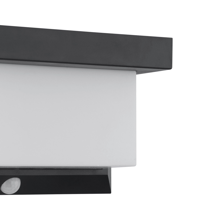Eglo - LED Solarna stenska svetilka s senzorjem LED/3,84W/3,7V 2000 mAh IP44