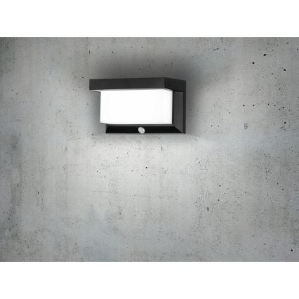 Eglo - LED Solarna stenska svetilka s senzorjem LED/3,84W/3,7V 2000 mAh IP44
