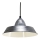 Eglo 49246 - Lestenec AUCKLAND 1xE27/40W/230V