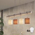 Eglo 55206 - LED lestenec na kablu TOWNSHEND 4xE27/60W/230V