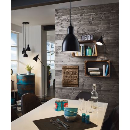 Eglo 55243 - Viseča svetilka PRIDDY na kabel 1xE27/60W/230V, črna