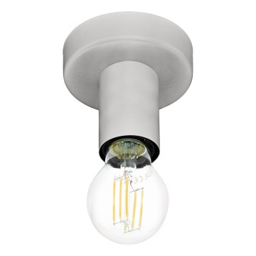 Eglo 64106 - Stropna svetilka IGUALA 1xE27/40W/230V siva