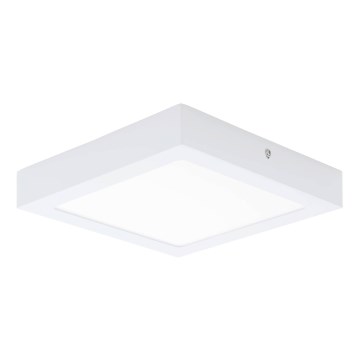 Eglo 64717 - LED Stropna svetilka FUEVA PRO LED/19W/230V 3000K 22,5x22,5 cm bela