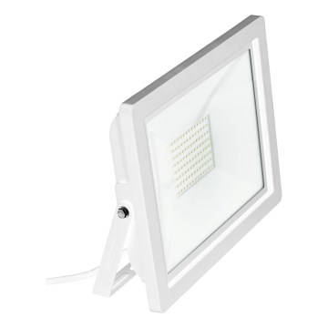 Eglo 64859 - LED Reflektor FILETTI LED/10W/230V 4000K IP65 bela