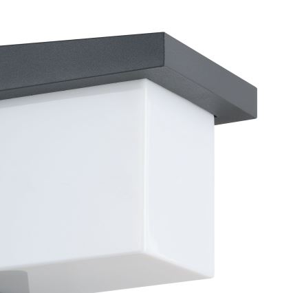 Eglo 65046 - LED Zunanja stenska svetilka DESELLA PRO LED/10W/230V IP54 antracit