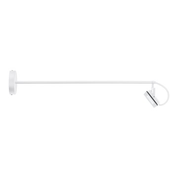 Eglo 66332 - LED Zunanja stenska svetilka LIMIDARIO LED/30W/230V 3000K IP44 bela