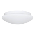 Eglo 68317 - Kopalniško stropno svetilo ELLA PROJEKT, 1 x E27/20W/230V, IP44, premer 30 cm