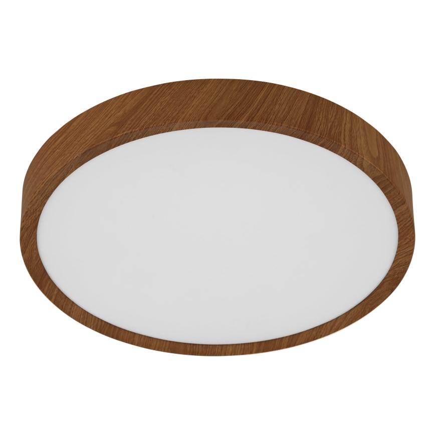 Eglo - LED Stropna svetilka LED/14,6W/230V
