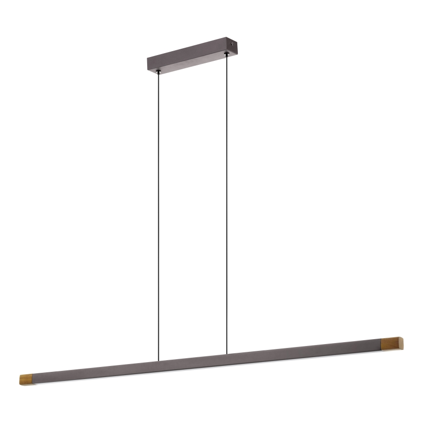 Eglo - LED Zatemnitveni lestenec na vrvici LED/22W/230V 3000K