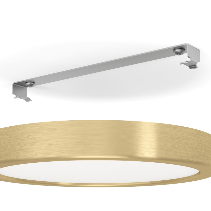 Eglo - LED Stropna svetilka LED/17W/230V pr. 21 cm