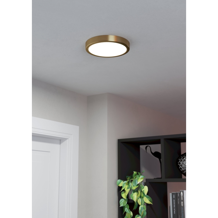 Eglo - LED Stropna svetilka LED/17W/230V pr. 21 cm