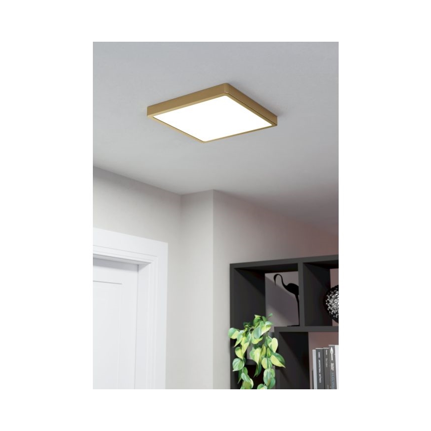 Eglo - LED Stropna svetilka LED/20,5W/230V