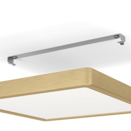 Eglo - LED Stropna svetilka LED/20,5W/230V