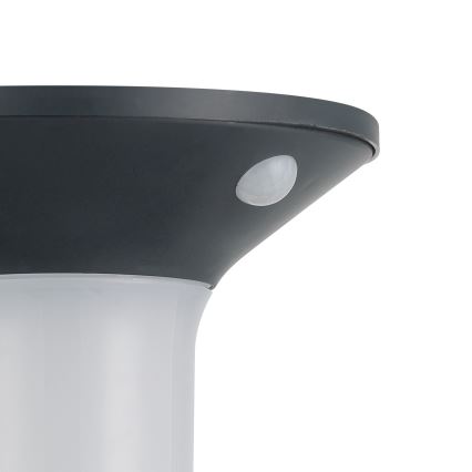 Eglo - LED Zunanja solarna svetilka s senzorjem 6xLED/0,03W/3,7V IP44