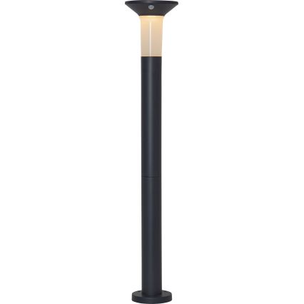 Eglo - LED Zunanja solarna svetilka s senzorjem 6xLED/0,03W/3,7V 1500 mAh IP44